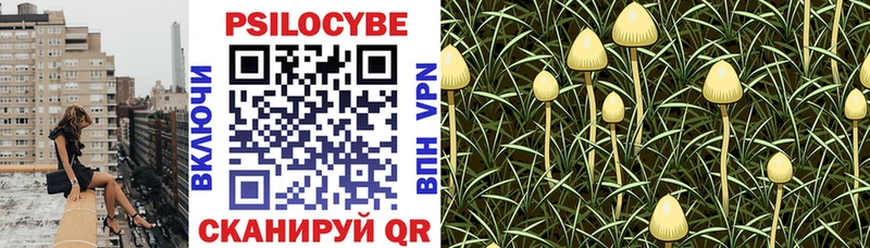 Купить  Шали  Галлюциногенные грибы мицелий 